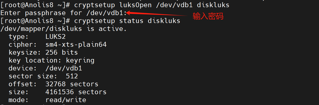 在ECS Linux上使用cryptsetup为LUKS磁盘启用SM4加密-开发者社区-阿里云