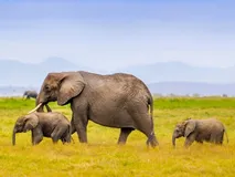 PostgreSQL 教程