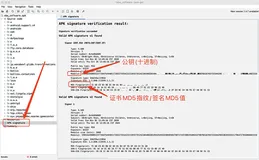 app公钥获取