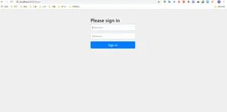 Spring Security（一）