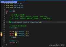 C/C++程序员必备技能 ---- 内存泄漏检测