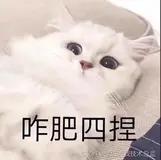 1-1买了华为云服务器，不会用？不做大怨种