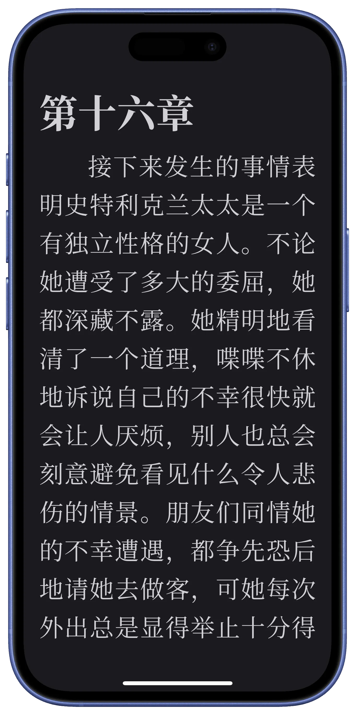 阅读器界面展示