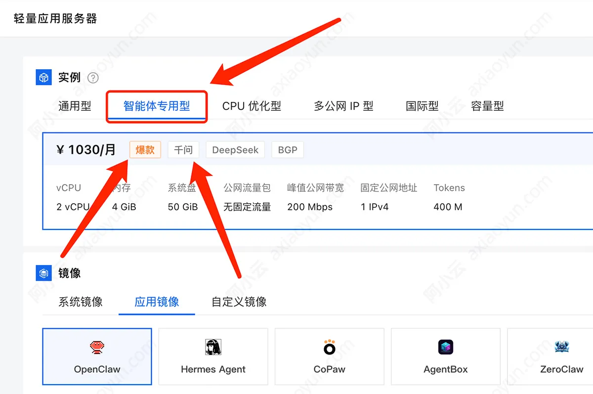 阿里云轻量应用服务器智能体专用型
