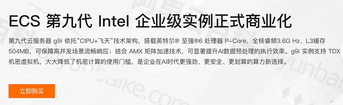 阿里云服务器ECS第九代实例