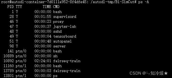 高效管理 Linux 进程：如何后台执行程序、查看进程、终止任务