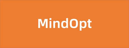 阿里达摩院 MindOpt 介绍和使用