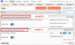 【网络安全】渗透测试工具——Burp Suite（下）
