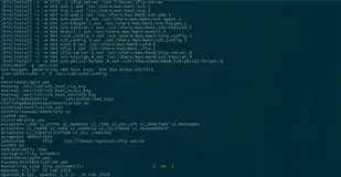 Linux——OpenSSH如何升级到最新版本 