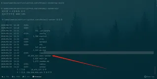 GoLand——windows下如何编译Linux二进制文件