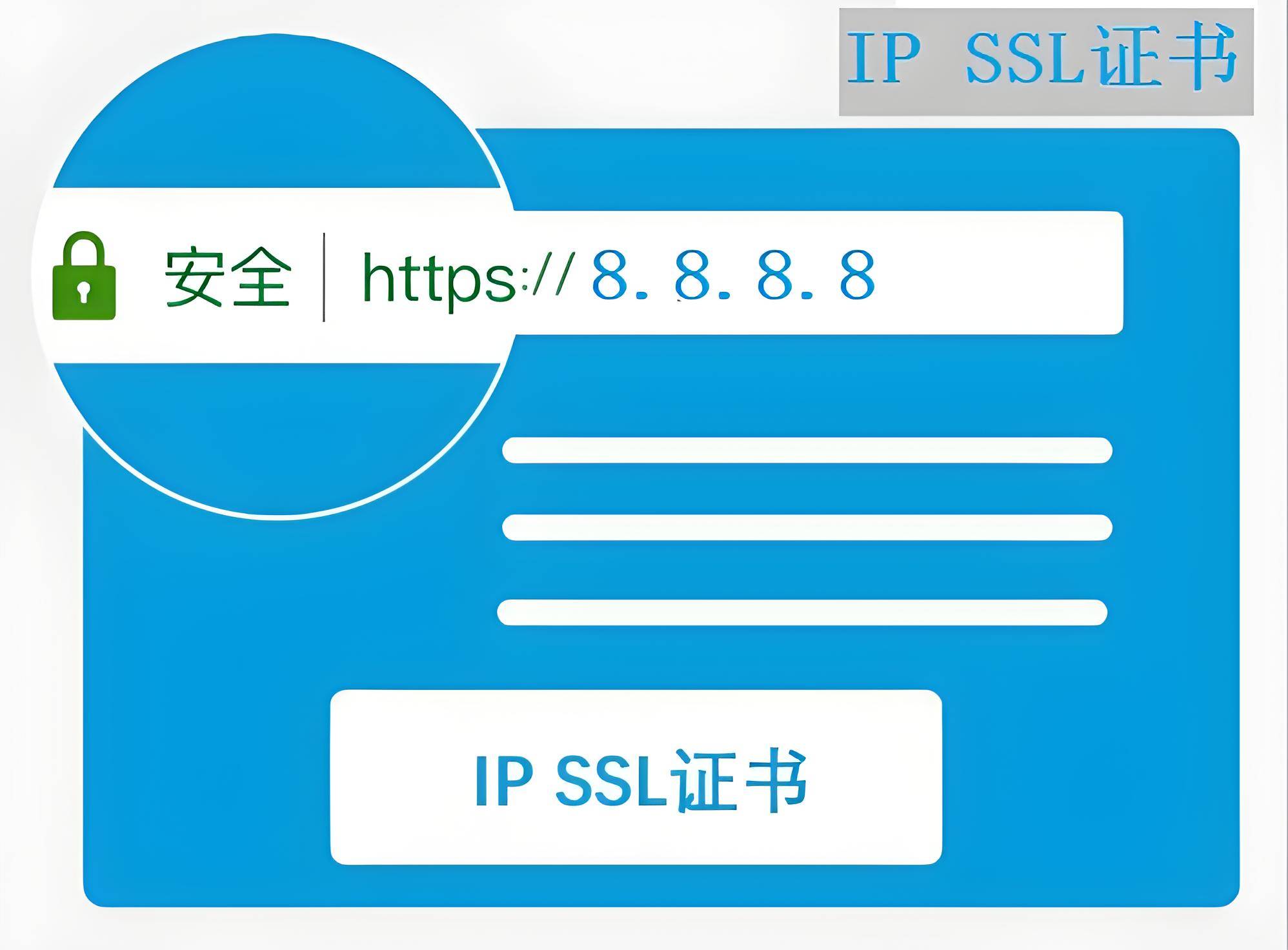 政务单位免费IP地址SSL证书