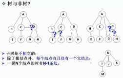 【DS】树和二叉树的理论知识梳理
