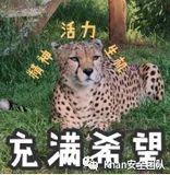 一分钟Linux日志分析