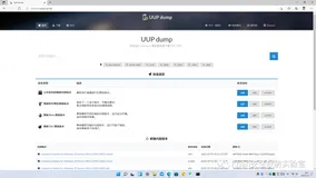 WIN11自定义版本ios镜像下载教程