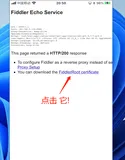 【保姆级教程】 全网最强HTTP+Fiddler抓包实战超级全面图文教程 《Fiddler 苹果IOS 数据抓包---ios手机下载安装与配置证书》