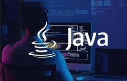 Java之for循环