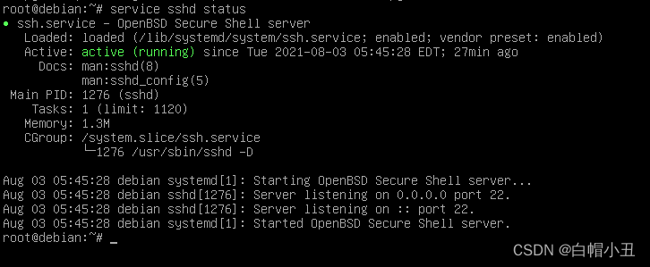 debian安装ssh（傻瓜教程）+证书免密登录