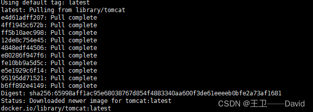 Docker安装Tomcat 外网访问Tomact 阿里云镜像仓库