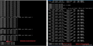 【Linux】—— 进程的环境变量