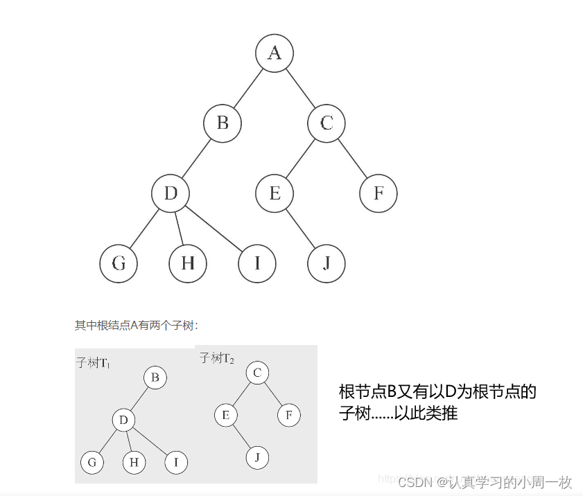 【树和二叉树】数据结构二叉树和树的概念认识
