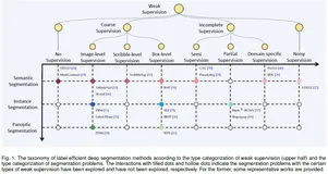 一文尽览！弱监督语义/实例/全景分割全面调研（2022最新综述）（上）