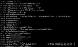 git config 查看，设置，删除项