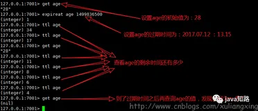 Redis系列八--Redis数据过期策略详解