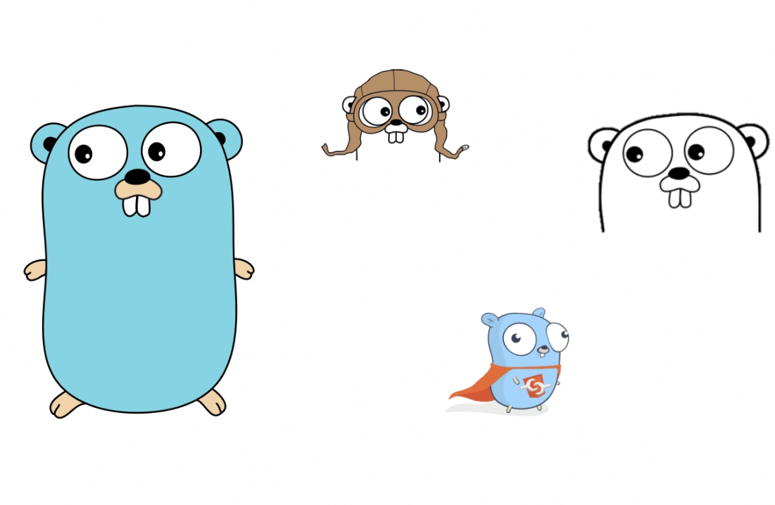 [go]byte类型, string 类型, json 类型