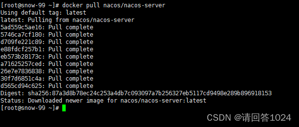 Docker 安装 Nacos