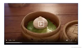 Vue2视频播放（Video）