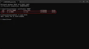 Windows Kill 被占用的端口