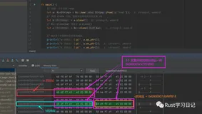【Rust 中级教程】 12 共享所有权