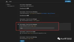 【Rust 课外知识】你还不知道的Rust10个小技巧（下）