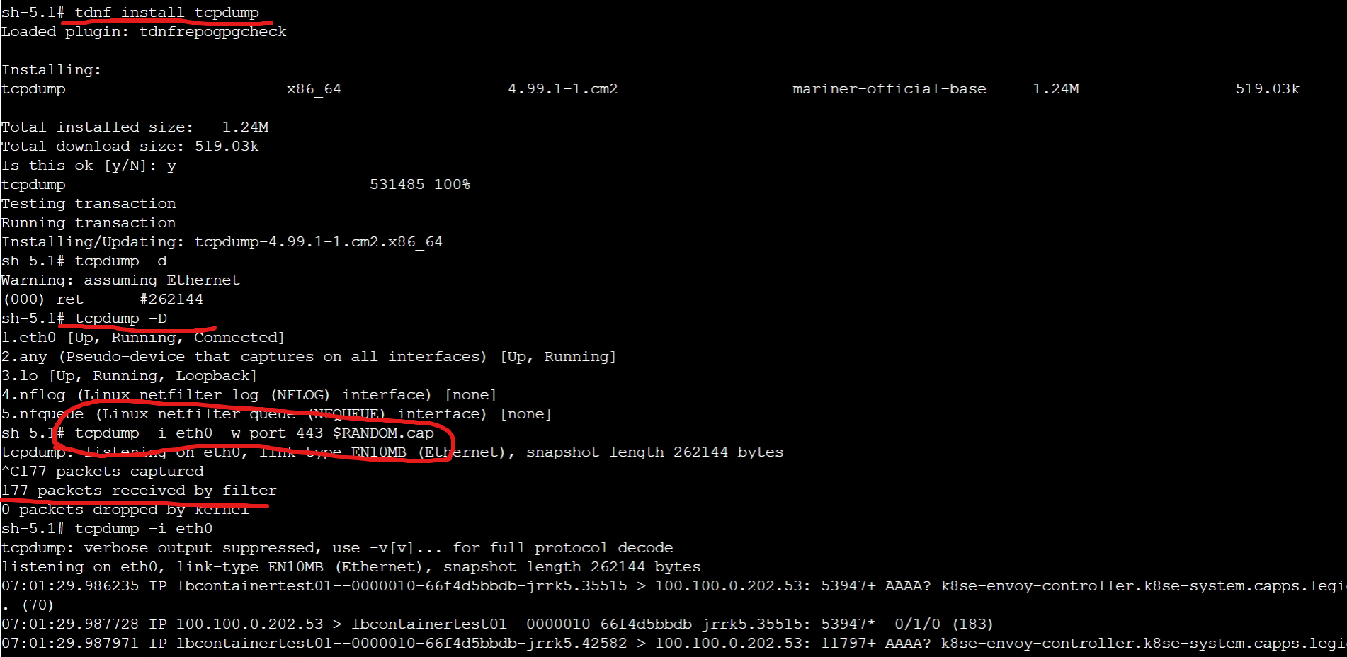 【Container App】在容器中抓取网络包的方法