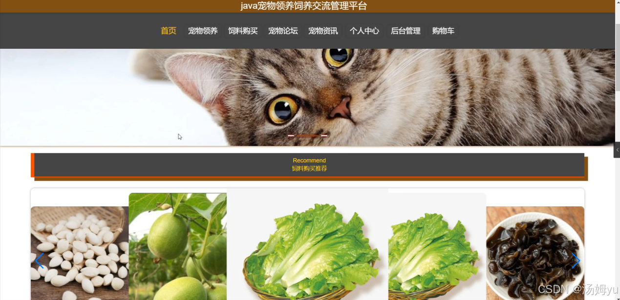 基于springboot的宠物领养饲养交流系统