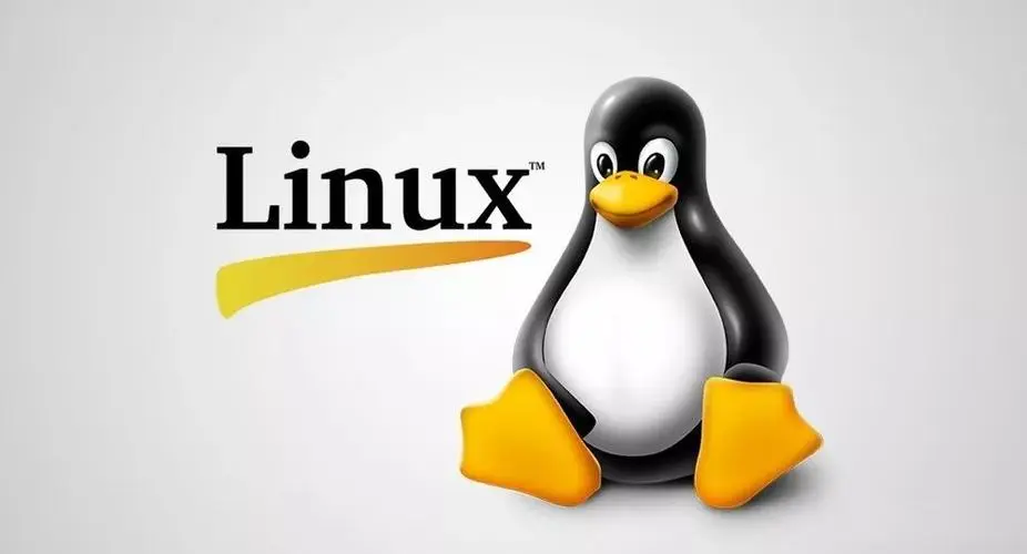 深入了解 Linux 常用性能统计命令