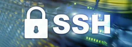 SSH 简介：安全远程访问的利器