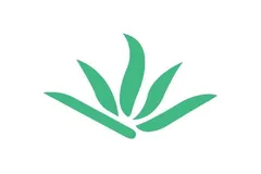 若依项目部署详解