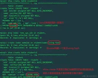 MySQL哈希索引以及InnoDB自适应哈希索引