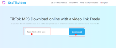 How to online Download TikTok MP3