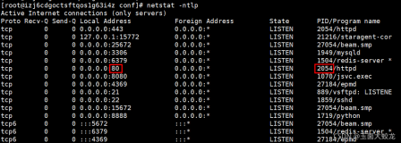 Linux下启动Nginx时报错：nginx: [emerg] bind() to 0.0.0.0:80 failed (98: Address already in use)