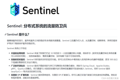 SpringCloud Alibaba学习（五）：Sentinel的介绍与搭建