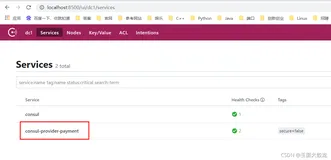SpringCloud学习（九）：服务注册进consul