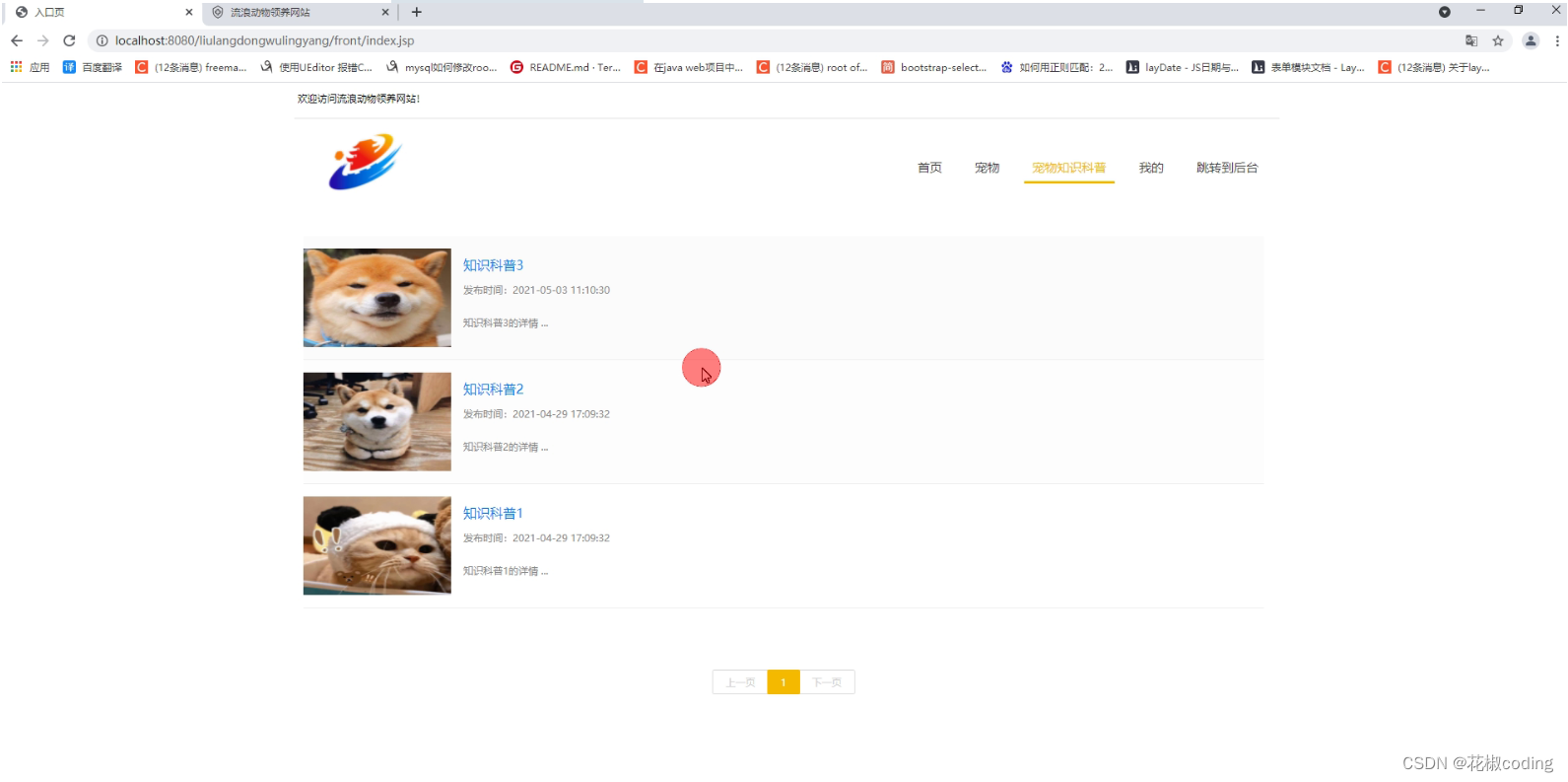 基于SpringBoot+Vue+uniapp的流浪宠物领养系统的详细设计和实现(源码+lw+部署文档+讲解等)