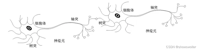 【数据挖掘】神经网络与感知机基础概念讲解（图文解释 超详细）