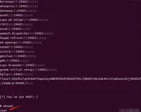 Linux Kernel 权限提升漏洞 (CVE-2023-32233)