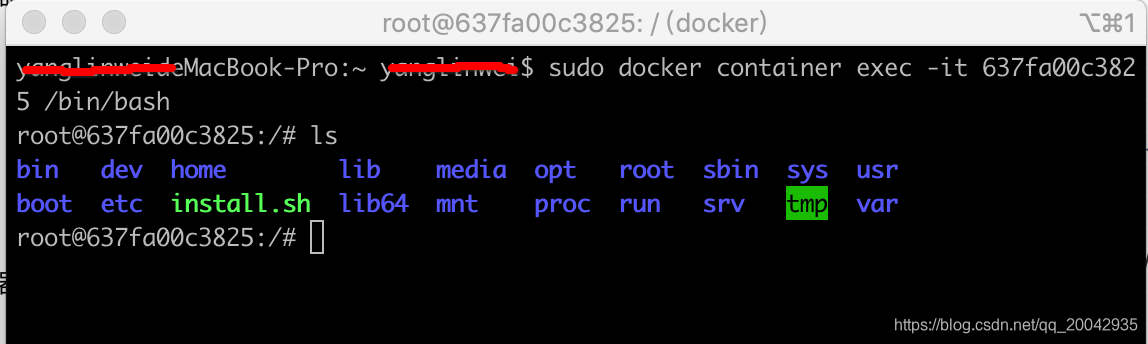 Mac Docker进入容器目录
