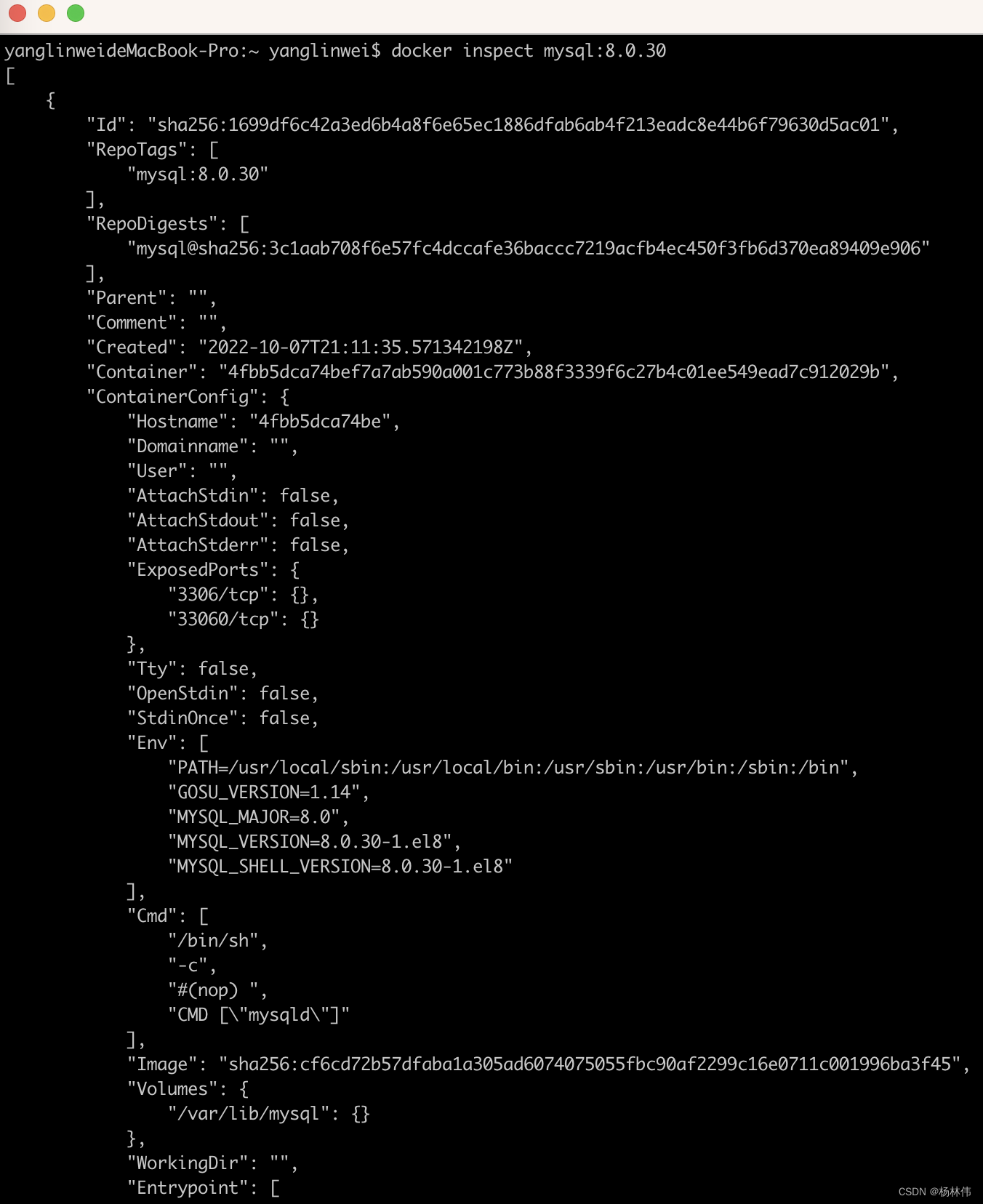 docker镜像分析利器之dive