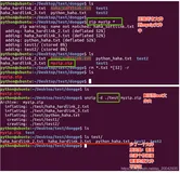 27Linux - 文件管理（文件压缩解压：zip、unzip）