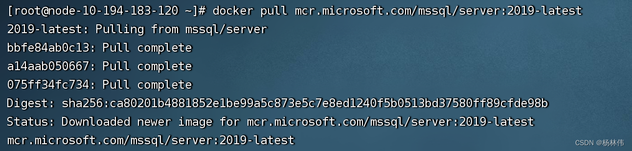 Docker下安装SqlServer2019